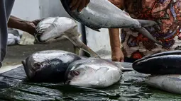 Pedagang ikan bandeng melayani pembeli di kawasan Rawa Belong, Jakarta Barat, Rabu (10/2/2021). Ikan bandeng dipatok dengan harga sekitar Rp 75.000 per kilogram dari yang terkecil hingga terbesar. (Liputan6.com/Johan Tallo)