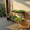 8 Cara Membuat Kebun Mini di Teras Rumah Tanpa Mengganggu Area Aktivitas Sehari-hari