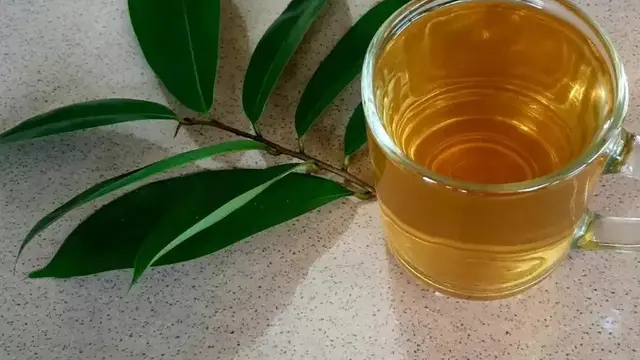 5 Resep Minuman Hangat untuk Turunkan Kolesterol, Hanya 3 Bahan Saja