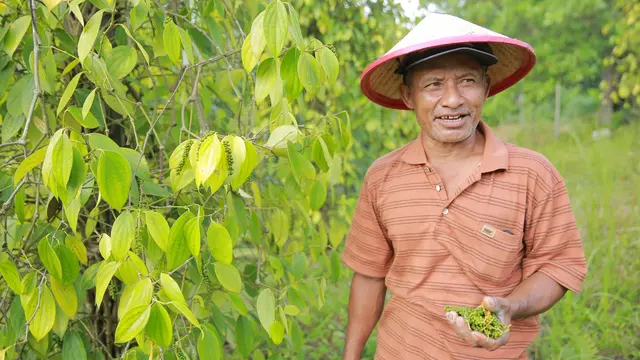 Tuan Tanah di Ibu Kota Baru Kalimantan Timur