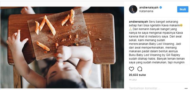 Andien punya penjelasan soal BLW./Copyright instagram.com/andienaisyah/