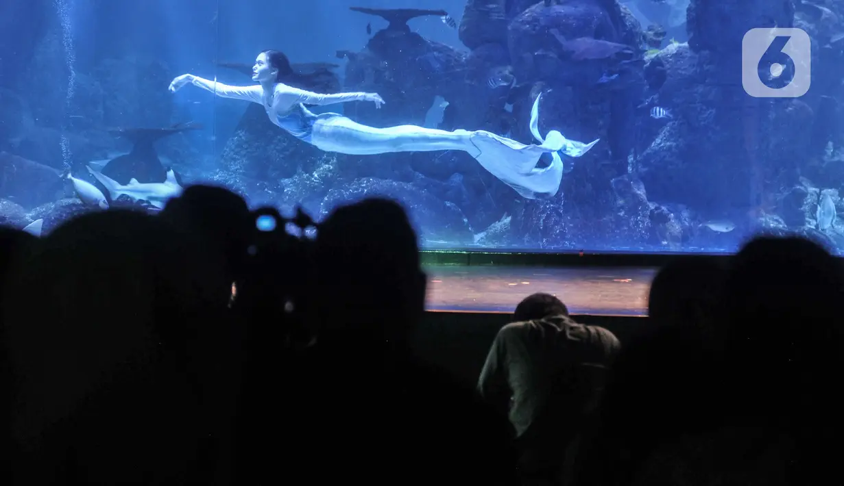 Atraksi putri duyung saat pertunjukkan bawah air di Jakarta Aquarium dan Safari (JAQS), Neo Soho Mall, Jakarta, Rabu  (21/4/2021). JAQS menghadirkan pertunjukkan putri duyung dalam rangka memperingati Hari Kartini. (merdeka.com/Iqbal S Nugroho)