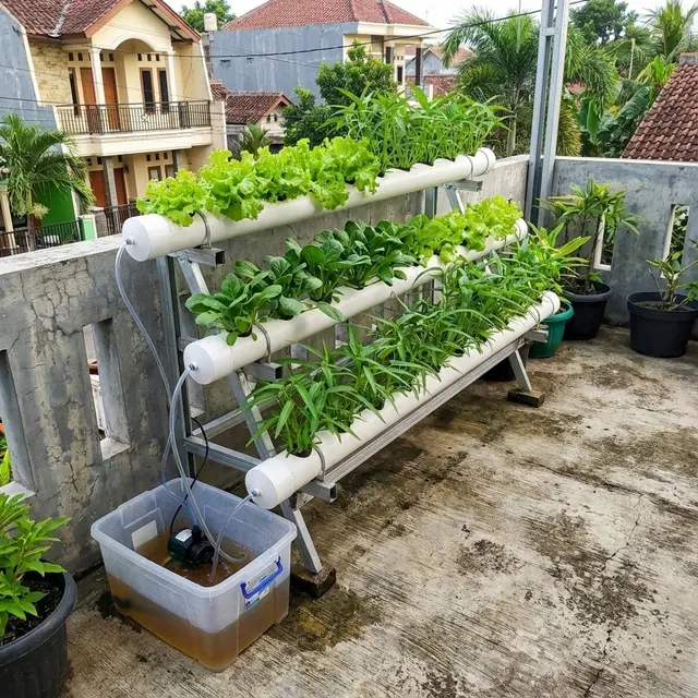 Model Kebun Mini di Teras Cor Tanpa Tanah
