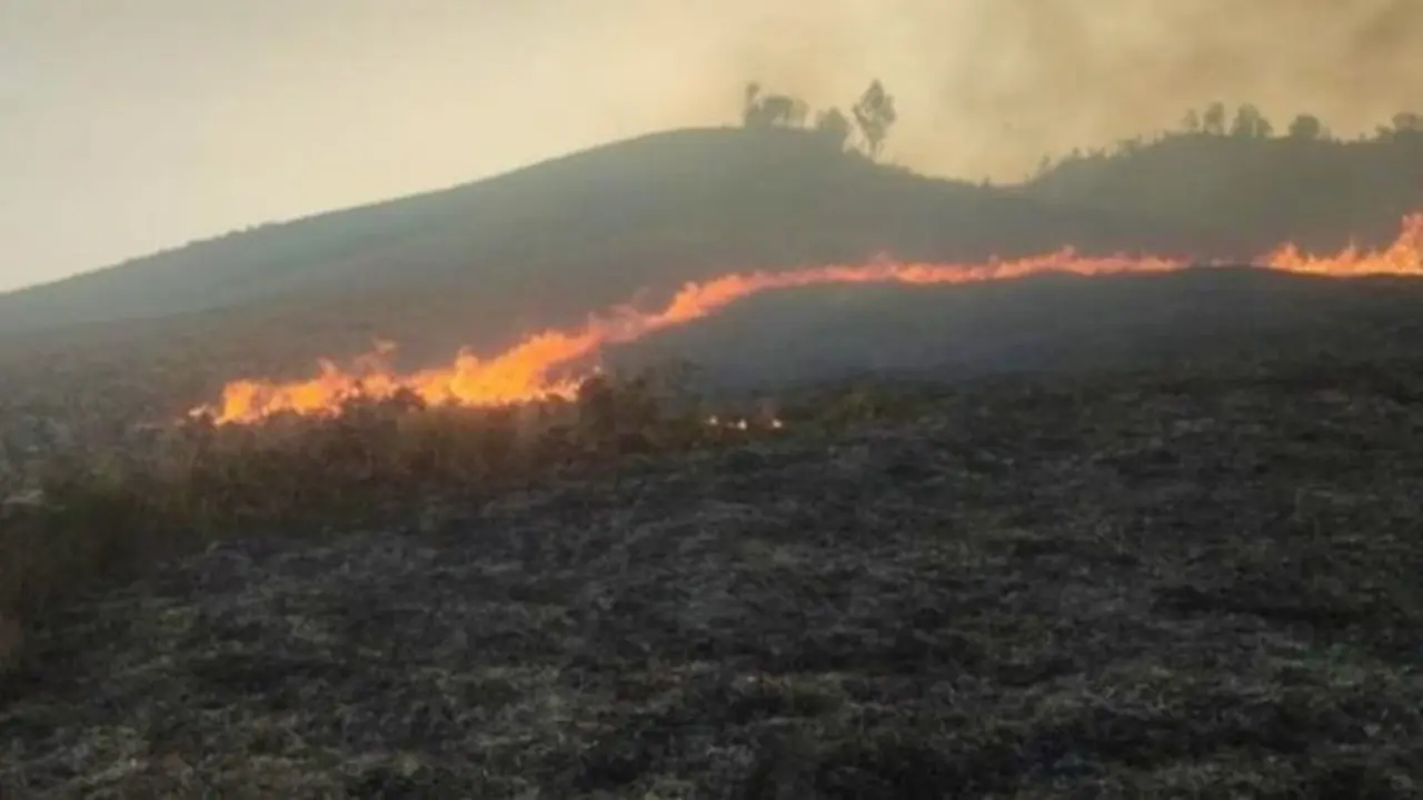 Kawasan Gunung Bromo kembali terbakar. (Dok. Istimewa)