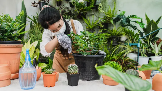 Taman hias sebagai ruang menyejukkan di rumah
