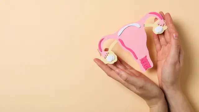 Lalu, Apa Itu Endometriosis? [Dok/freepik.com]