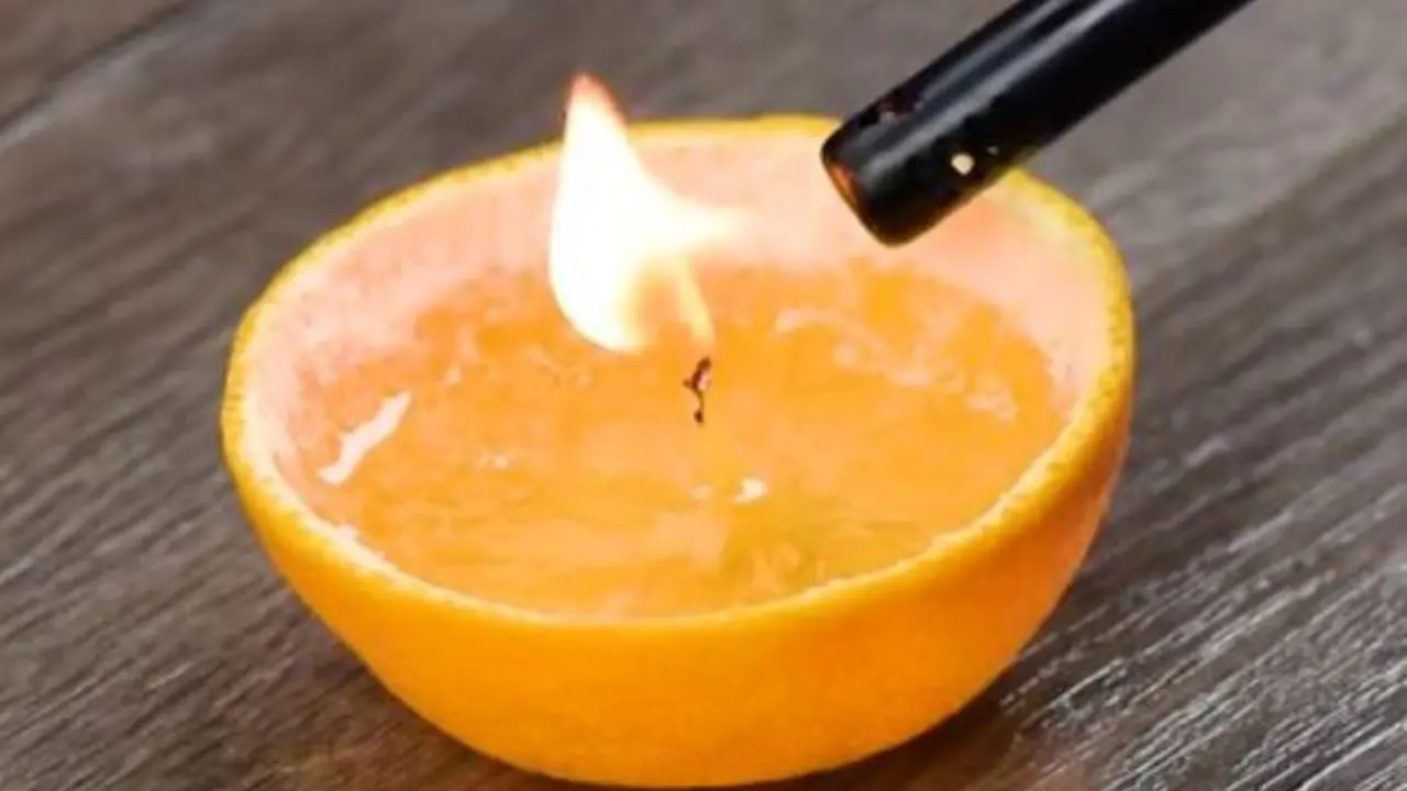 Kulit jeruk kini bisa jadi lilin wangi. (Foto: Blossom)