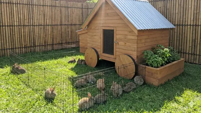 Model Halaman Belakang Rumah di Desa untuk Ternak Kecil. AI