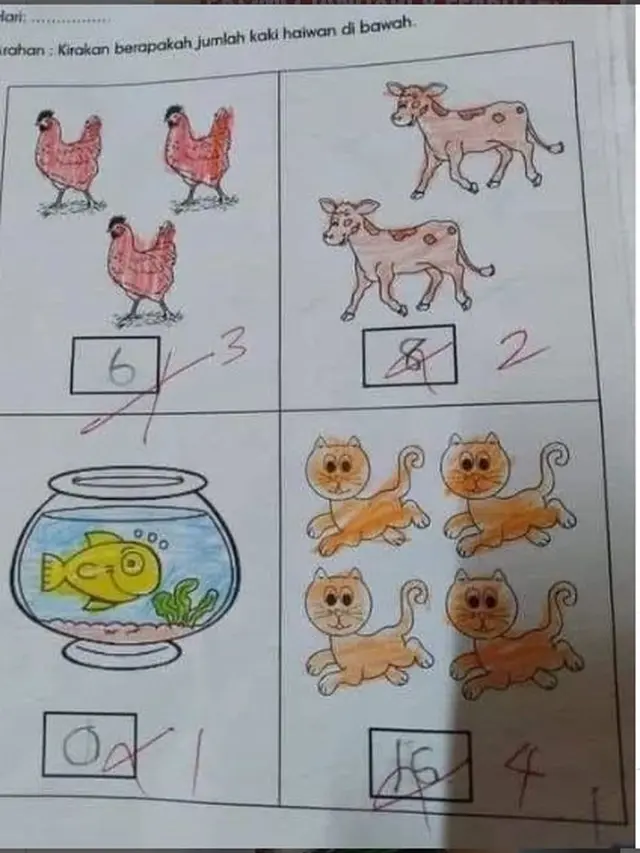 8 Potret Nyeleneh Soal Bergambar untuk Siswa, Bingung Isi Jawabannya