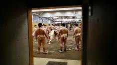 Sejumlah mahasiswa saat bersiap berlatih sumo di klub gulat Sumo Nippon Sports Science University di Tokyo, Jepang (20/5/2019). (Reuters/Issei Kato)