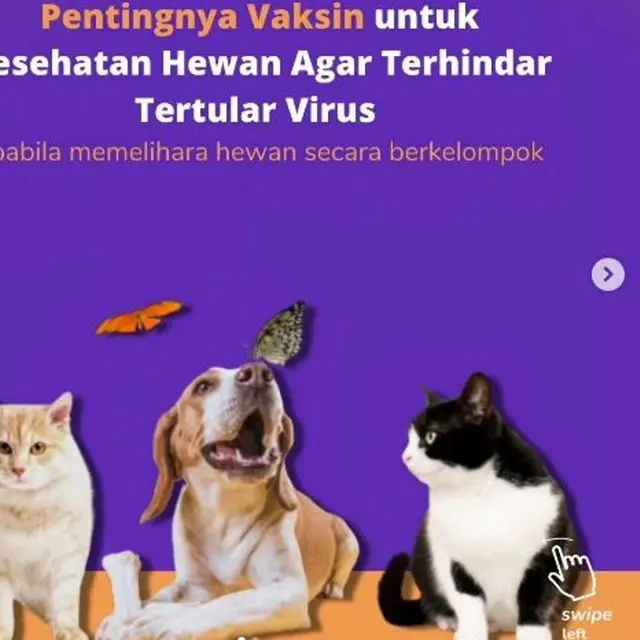 Benarkah Layanan Kesehatan Hewan Peliharaan Tidak Ramah di Kantong?