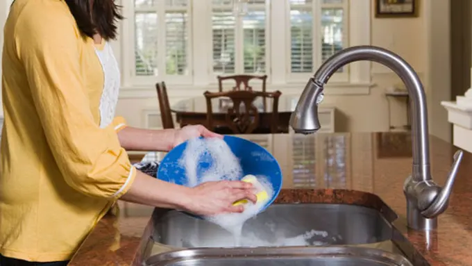 copyright by shutterstock.com