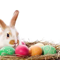 Paskah telah tiba! Sudah menyiapkan 3 hal ini di rumah?