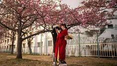 Sepasang kekasih berdiri di bawah pohon sakura di sebuah taman di distrik Edogawa, Tokyo, Jepang pada Kamis 23 Februari 2023. Tak lama lagi, musim semi tiba di Jepang, dan saatnya untuk melihat bunga sakura bermekaran. Tokyo akan menjadi salah satu kota pertama yang melihat bunga sakura yang diperkirakan akan mekar sekitar 18 Maret dan puncaknya pada 27 Maret. (Philip FONG/AFP)