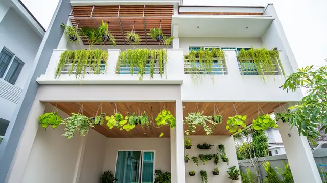 Model Tampak Depan Rumah Minimalis Asri dengan Tanaman Rambat