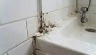 Penyebab Silikon Kamar Mandi Berjamur dan Cara Mencegahnya