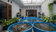 7 Ikan Air Tawar yang Bisa Menjadi Sumber Passive Income Keluarga