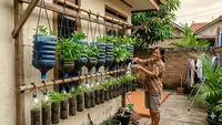 10 Model Kebun Sayur Gantung untuk Rumah Tanpa Halaman Luas, Bikin Hunian Asri dan Produktif