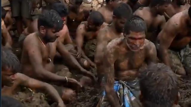 Dianggap Tak Akan Sakit, Unik Tradisi India Dengan Melempar Kotoran Sapi