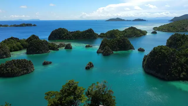 raja ampat yang terkenal dengan keindahan lautnya memanjakan mata