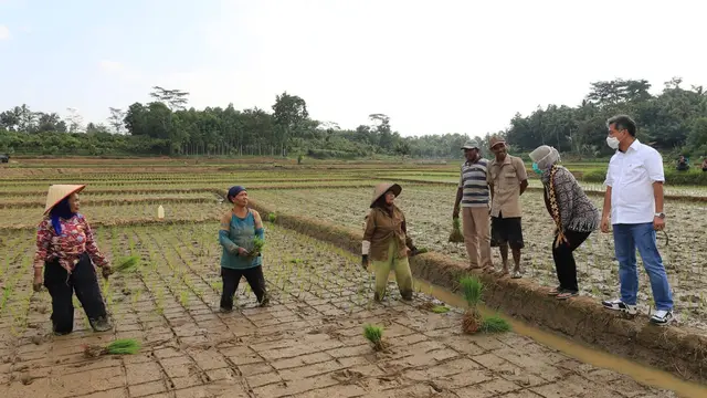 Dukung Ketahanan Pangan, BRI Salurkan Bantuan Senilai Rp 1,6 Miliar untuk Petani