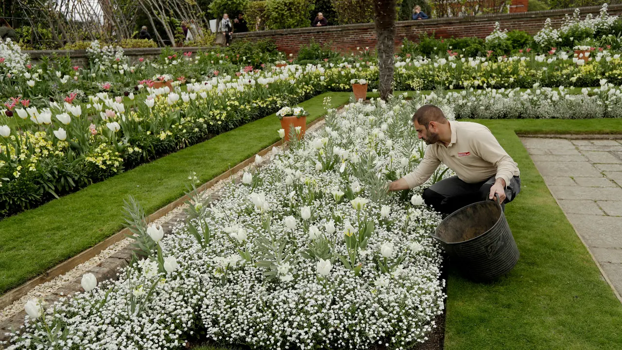Taman Peringatan Putri Diana- The White Garden- AP Photo-20170418