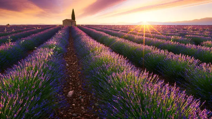Provence, Perancis