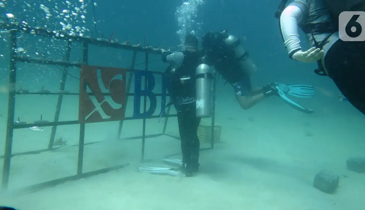 Penyelam BNI HiMovers Dive Community menanam bibit terumbu karang di Perairan Pantai Pulisan, Minahasa Utara, Sulawesi Utara, Rabu (23/06/2021). Penanaman bibit terumbu karang merupakan rangkaian perayaan HUT ke - 75 yang pada 5 Juli 2021. (Liputan6.com/HO/BNI)