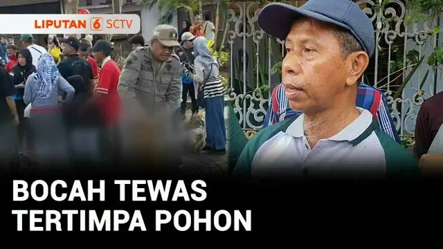 VIDEO: Tertimpa Batang Pohon Tumbang saat Kegiatan Jalan Santai, Bocah SD Meninggal