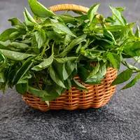ilustrasi Manfaat Daun Kemangi/Kathleen JT/shutterstock