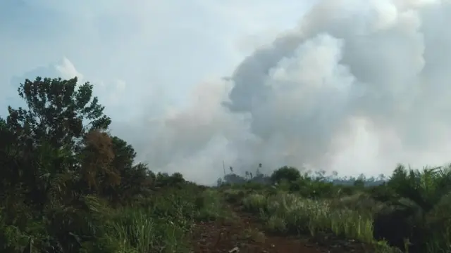 Kebakaran lahan di Riau yang mengepulkan kabut asap ke udara.
