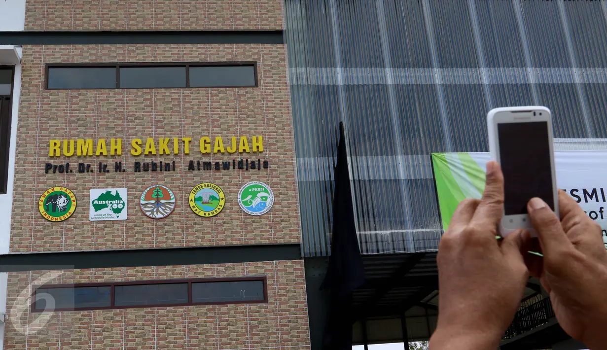 Pengunjung mengabadikan Rumah Sakit Gajah (RSG) menggunakan HP di Taman Nasional Way Kambas, Lampung, Kamis (5/11/2015). RSG merupakan pertama di Indonesia yang digagas empat tahun yang lalu. (Liputan6.com/Fery Pradolo)