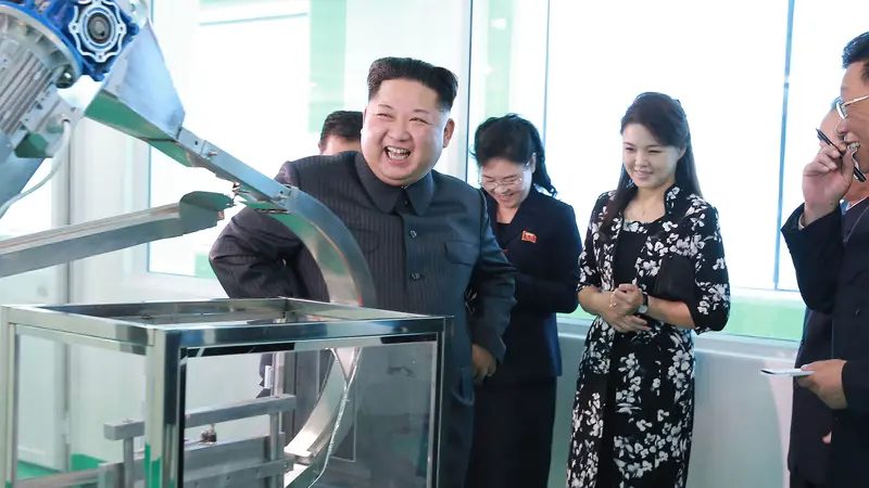 Pemimpin Korea Utara, Kim Jong-Un