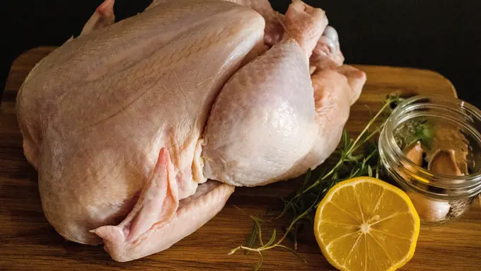 Tips Praktis Mencabut Bulu Ayam Kampung dengan Air Panas, Simpel dan Efektif