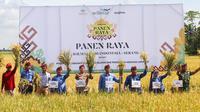 Penerapan praktik pertanian yang baik (good agriculture practices/GAP) menjadi salah satu kunci sukses dalam meningkatan produktivitas padi. (Dok. Wilmar)