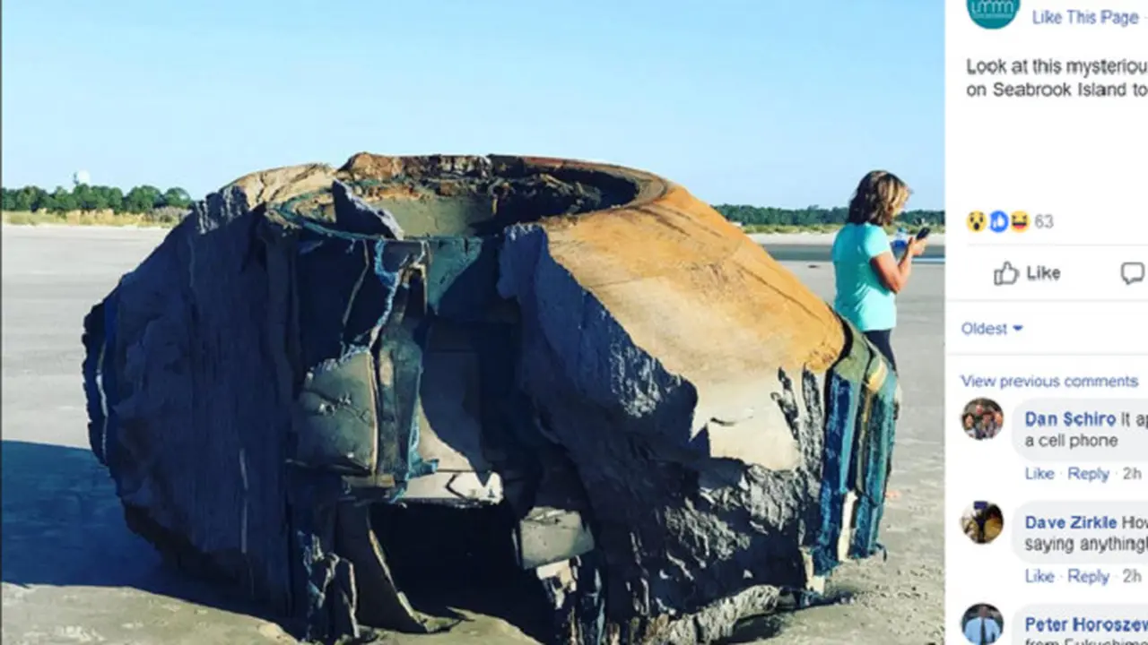 Sebuah benda misterius muncul di pesisir Pulau Seabrook, Negara Bagian South Carolina Amerika Serikat pada Kamis 5 Oktober 2018 (Lowcountry Marine Mammal Network via The Charlotte Observer)