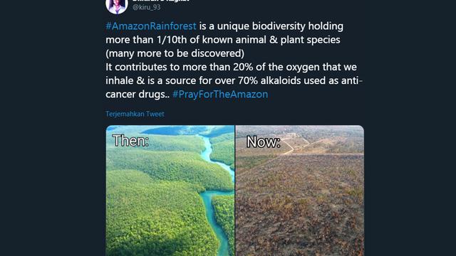 Pray For Amazon, Doa Warganet untuk Kebakaran Amazon