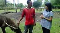liputan6