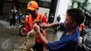 Petugas Dinas Kebersihan DKI mengikat seekor biawak yang ditemukan ketika berjibaku menyurutkan genangan banjir di kawasan Kemang, Jakarta Selatan, Selasa (4/10). Biawak sepanjang 2 meter muncul dari saluran air. (Liputan6.com/Gempur M Surya)