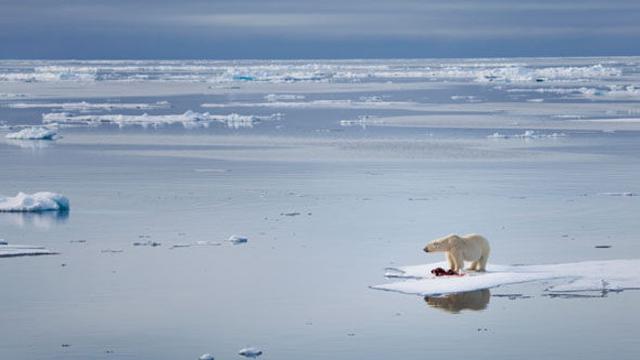 Pemanasan Global Berkurang di Tahun 2017?