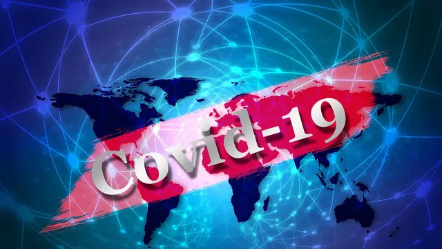 Ilustrasi COVID-19 (pixabay)