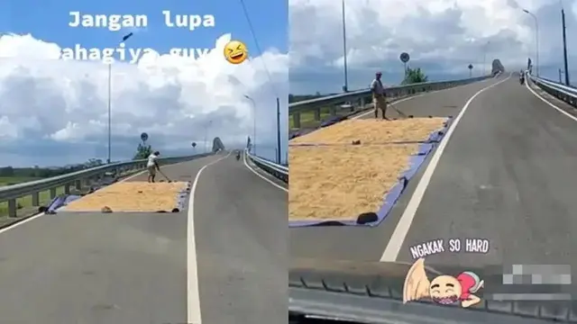 Kumpulan Potret Padi Dijemur di Tengah Jalan, Kendaraan Bermotor Jadi Sulit Melintas (ist)