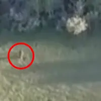 Suatu sosok terekam kamera drone ketika sedang berlari di padang rumput lalu bersembunyi dalam hutan kecil. Inikah bukti keberadaan Bigfoot? (Sumber Daily Mail)