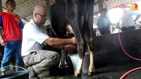 Harga Impor Melonjak, Industri Ditolong Pasokan Susu Lokal