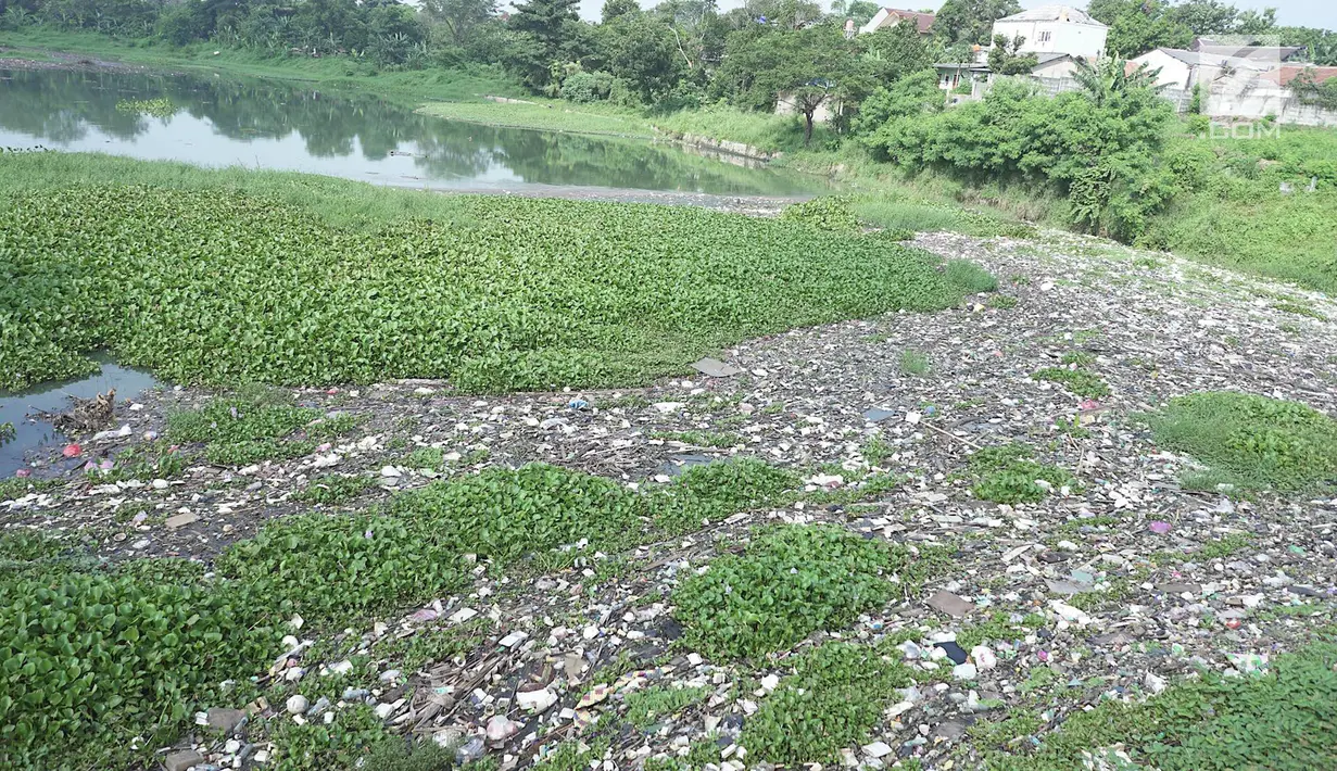 Pemandangan Setu Pengarengan yang dipenuhi sampah dan eceng gondok di Depok, Jawa Barat, Selasa (7/5/2019). Keberadaan sampah dan eceng gondok di Setu Pengarengan menimbukan kesan kumuh. (Liputan6.com/Immanuel Antonius)