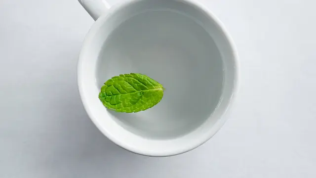 teh mint