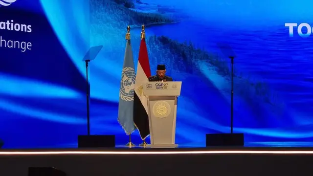 Wakil Presiden Ma'ruf Amin