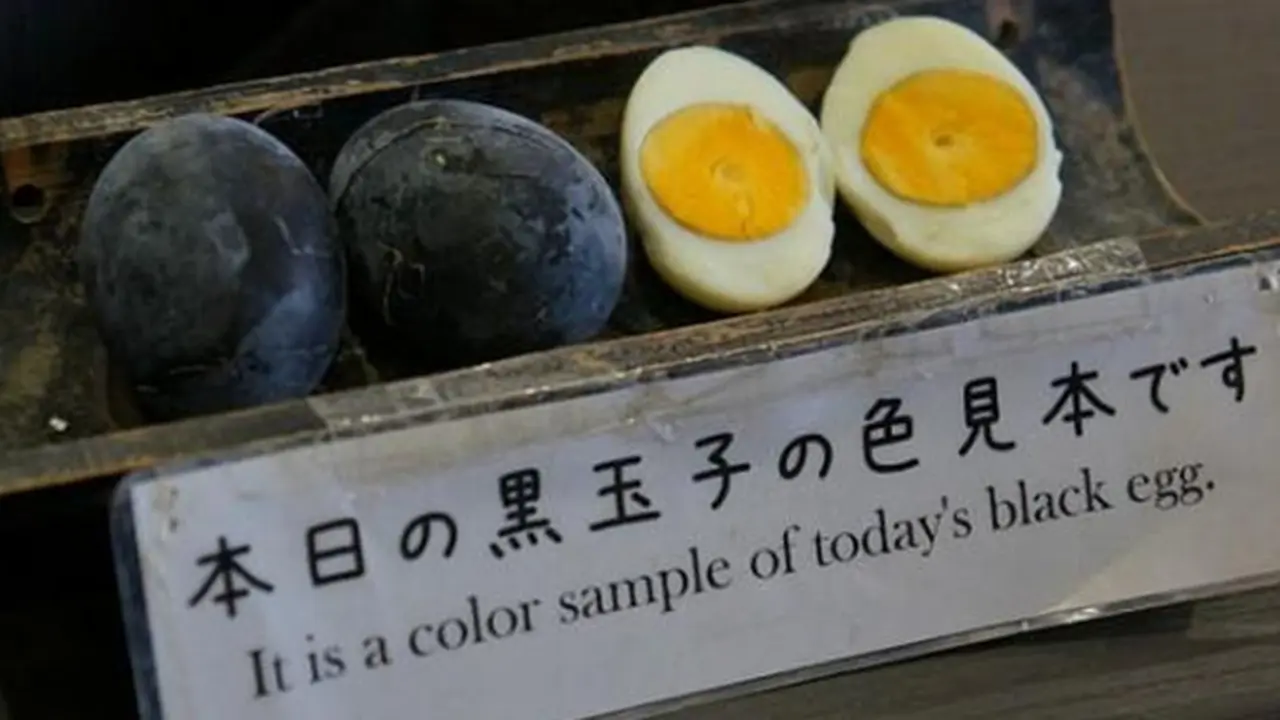Foto: copyright odditycentral.com