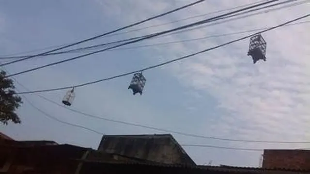 6 Posisi Benda di Kabel Listrik Ini Bikin Bingung Cara Naruhnya, Nyeleneh