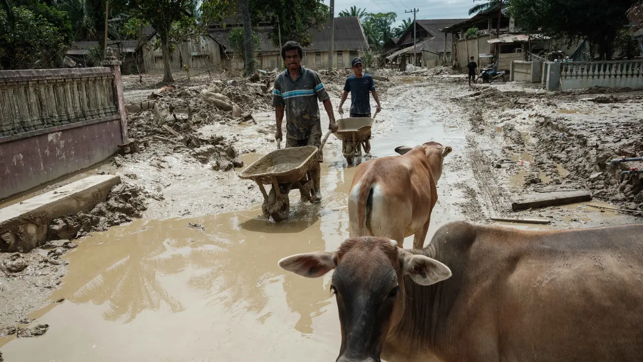 Di Tengah Keterbatasan, Warga Aceh Tamiang Mulai Bersihkan Rumah Mereka